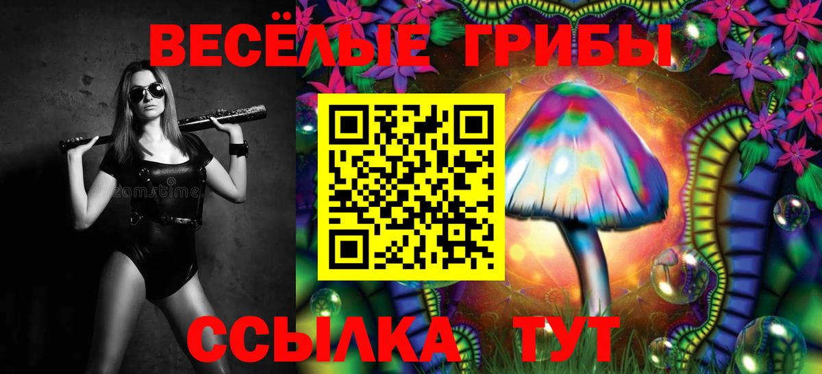 Галлюциногенные грибы Psilocybe  Вход с VPN  Псилоцибиновые грибы Cubensis  Омск 